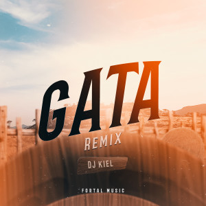 MC Livinho的專輯GATA (Remix)