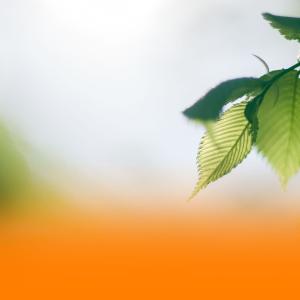 The Sleep Helpers的專輯Healing Ambient Music With Soothing Piano And Gentle Nature Sounds For Deep Relaxation And Better Sleep