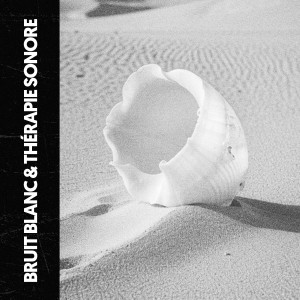 ดาวน์โหลดและฟังเพลง Mitternachtstraummelodien พร้อมเนื้อเพลงจาก Ruido Blanco Hart