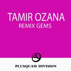 Listen to Destiny (Tamir Ozana Remix) song with lyrics from Aerofeel