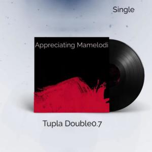 Album Appreciating Mamelodi from 