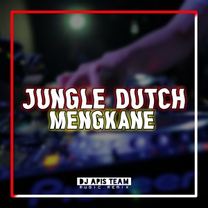 Listen to JUNGLE DUTCH MENGKANE, Vol. 2 song with lyrics from DJ Apis