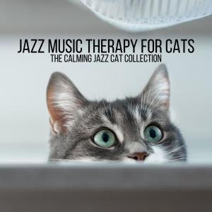 Album The Calming Jazz Cat Collection from Jazz Music Therapy for Cats