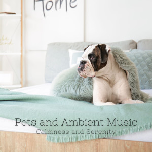 Pets and Ambient Music: Calmness and Serenity