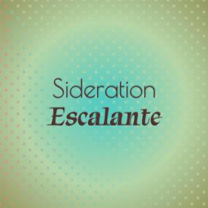Listen to Paste Whereby song with lyrics from Joao Nander