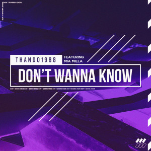 ดาวน์โหลดและฟังเพลง Don't Wanna Know พร้อมเนื้อเพลงจาก Thando1988