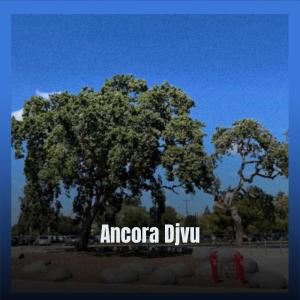 ดาวน์โหลดและฟังเพลง Ancora Djvu พร้อมเนื้อเพลงจาก Larona Roei