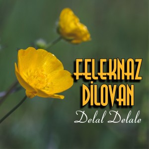 ดาวน์โหลดและฟังเพลง Delal Delale พร้อมเนื้อเพลงจาก Feleknaz Dilovan