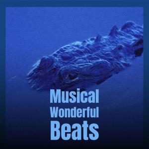 Listen to Rallying Christmas song with lyrics from Aaman Hasu
