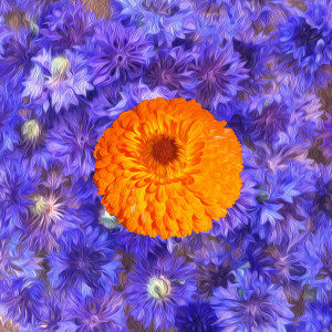 Dengarkan lagu Cicada Summer nyanyian The Radio Symphonic dengan lirik