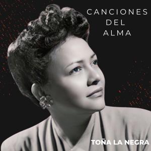 收聽Toña La Negra的Amor Perdido歌詞歌曲