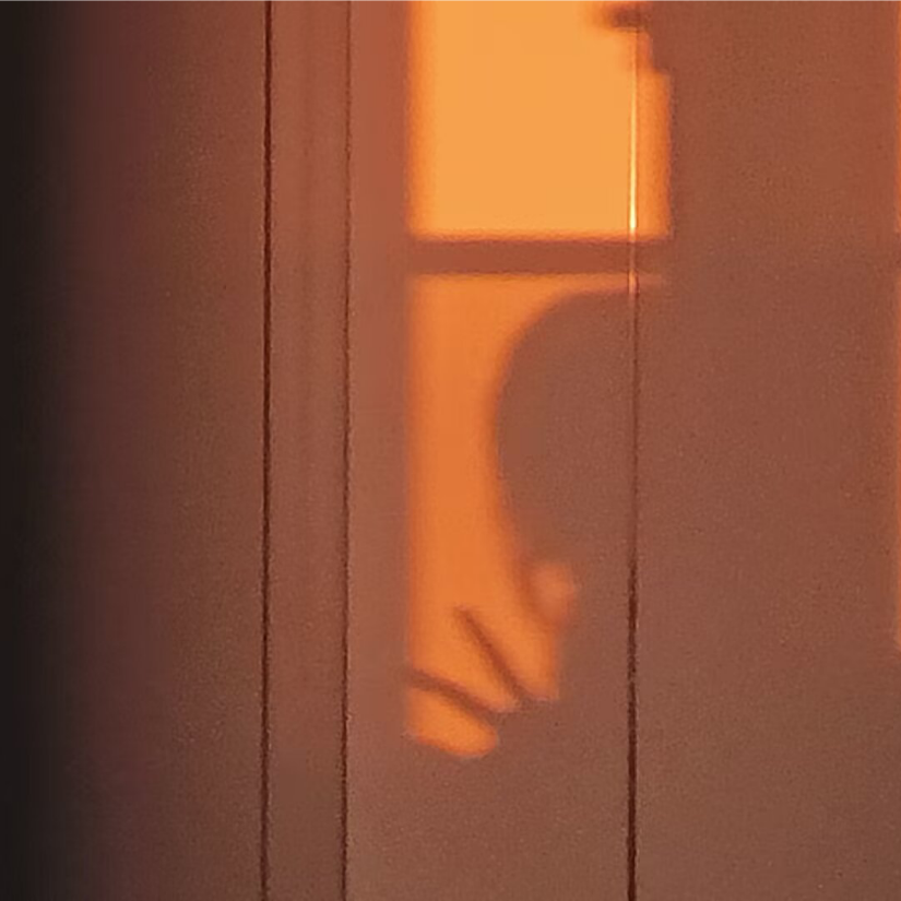 尔曼Violeta