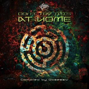 Various Artists的專輯Don't Try This at Home