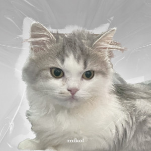 Album miko! oleh polar (폴라)