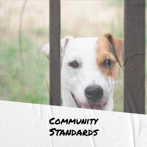 Listen to Sightly Affear song with lyrics from Aila Wili