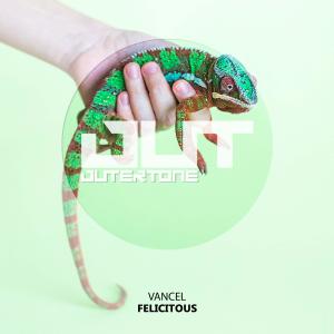 Listen to Felicitous song with lyrics from Vancel