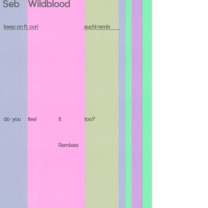 Album Keep On (SUCHI Remix) from Seb Wildblood