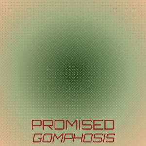 ดาวน์โหลดและฟังเพลง Promised Gomphosis พร้อมเนื้อเพลงจาก Recy Shado