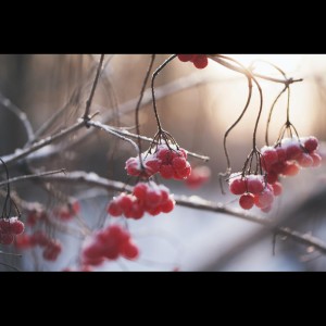 Listen to Taking it Easy song with lyrics from SPA
