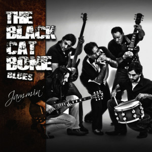 ดาวน์โหลดและฟังเพลง Thrill Is Gone พร้อมเนื้อเพลงจาก The Black Cat Bone