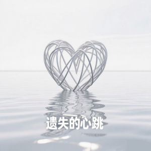 Album 遗失的心跳 from DJ阿诺