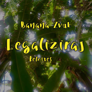 Listen to Legaliziraj (Grabber RMX) song with lyrics from Banana Zvuk