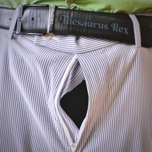 收听Thesaurus Rex的The Way You Look at Me歌词歌曲