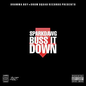 Album Buss It Down (Explicit) from 
