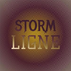 Various的专辑Storm Ligne