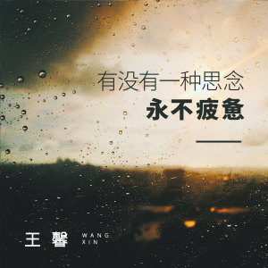 收聽王馨的有沒有一種思念永不疲憊 (DJ版)歌詞歌曲