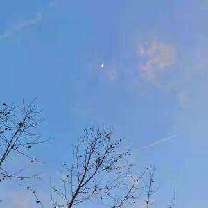 收听枯木逢春的这一生关于你的风景歌词歌曲