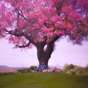 default playlist img