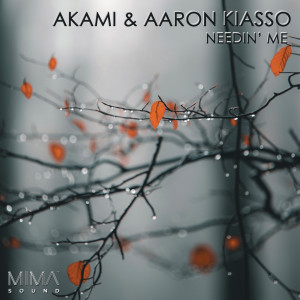 ดาวน์โหลดและฟังเพลง Needin' Me พร้อมเนื้อเพลงจาก Akami
