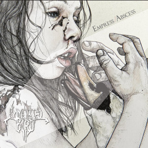 Dengarkan And Send Fire lagu dari Immortal Bird dengan lirik