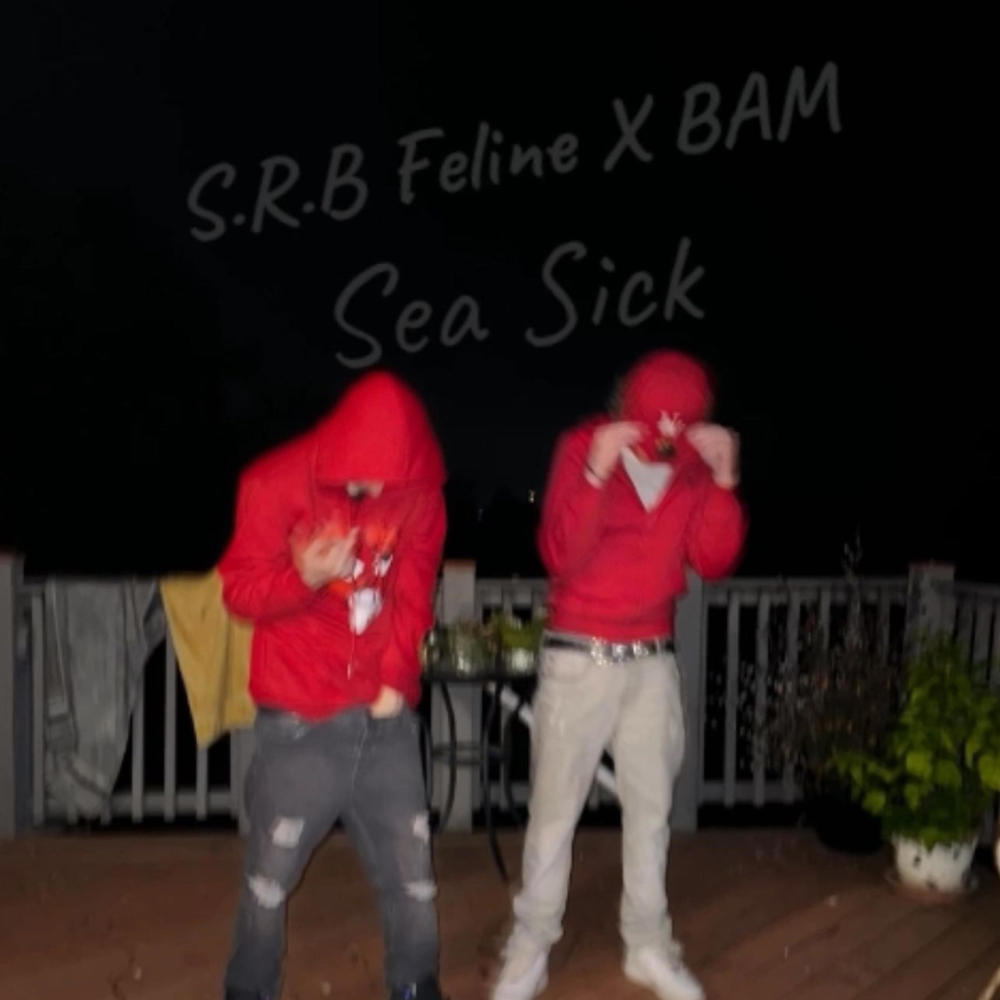 Sea Sick (feat. S.R.B Feline & BAM) (Explicit)