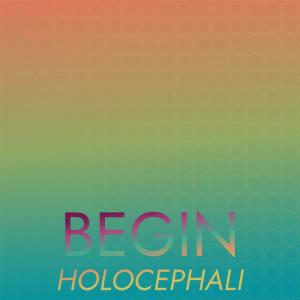 Various的专辑Begin Holocephali