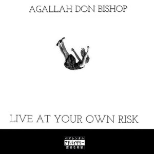 收聽Agallah Don Bishop的Brooklyn Keep On Taking It (Explicit)歌詞歌曲