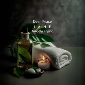 Dean Peace的專輯Wellness through Aromatherapy