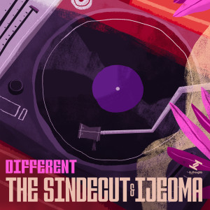 Listen to Different (Edit) song with lyrics from The Sindecut