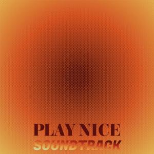 Various Artists的專輯Play Nice Soundtrack
