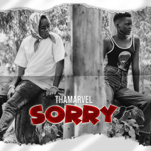 ดาวน์โหลดและฟังเพลง Sorry พร้อมเนื้อเพลงจาก Thamarvel