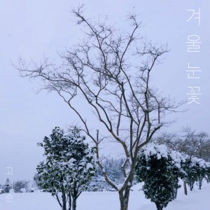 收聽고여순的겨울 눈꽃 (winter snowflakes) (Inst.)歌詞歌曲