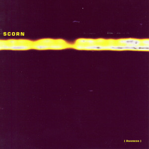 ดาวน์โหลดและฟังเพลง Almost Human พร้อมเนื้อเพลงจาก Scorn