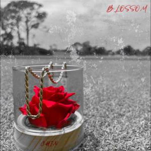 Album Blossom (Explicit) from Chin（港台）
