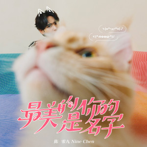 Album 最美的是你的名字 from 陈零九 Nine Chen