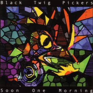 Black Twig Pickers的專輯Soon One Morning