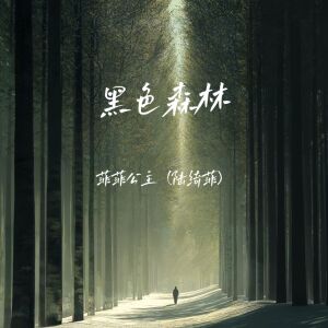 Album 黑色森林 from 菲菲公主