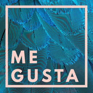 Album Me Gusta from Alegra