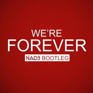 收听NAD3的We're Forever (Radio Edit|Instrumental)歌词歌曲