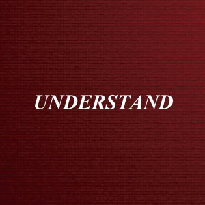 Album Understand (Remix) from Dj Micky M